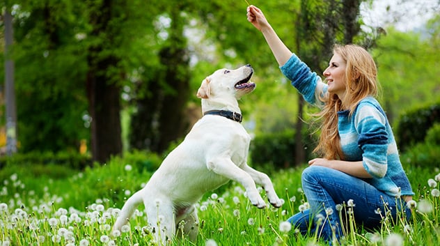 24 việc bạn có thể làm trong 24 giờ không công nghệ