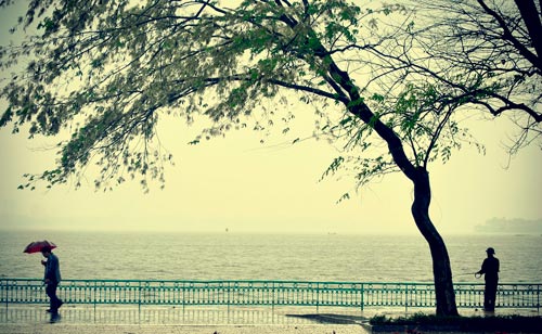 Mô tả ảnh.