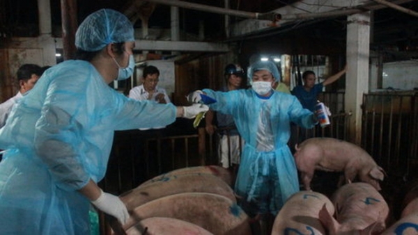 Mô tả ảnh.