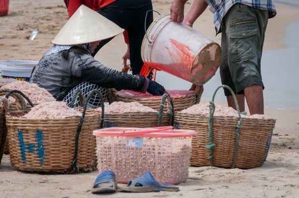 Mô tả ảnh.