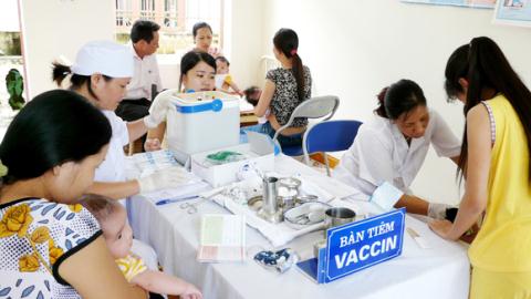 Mô tả ảnh.