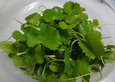 nhiệt miệng