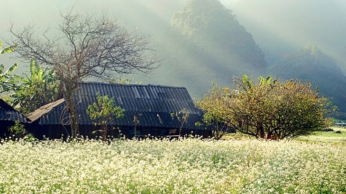Bắc Bộ ngày nắng nóng, mưa phùn và sương mù vào sáng sớm