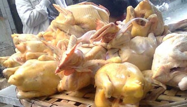 Điểm danh những Shbet0099 cá cược trực tuyến hàng ngày có chất vàng ô nguy hiểm