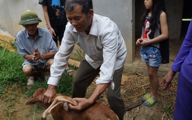 Mô tả ảnh.