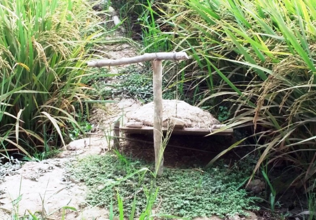 Hai thanh niên tử vong do vướng phải bẫy chuột