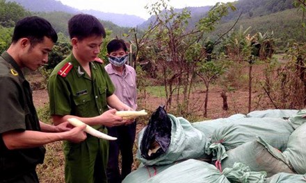 Phát hiện 22 tấn măng được đốt ủ bằng chất diêm sinh 