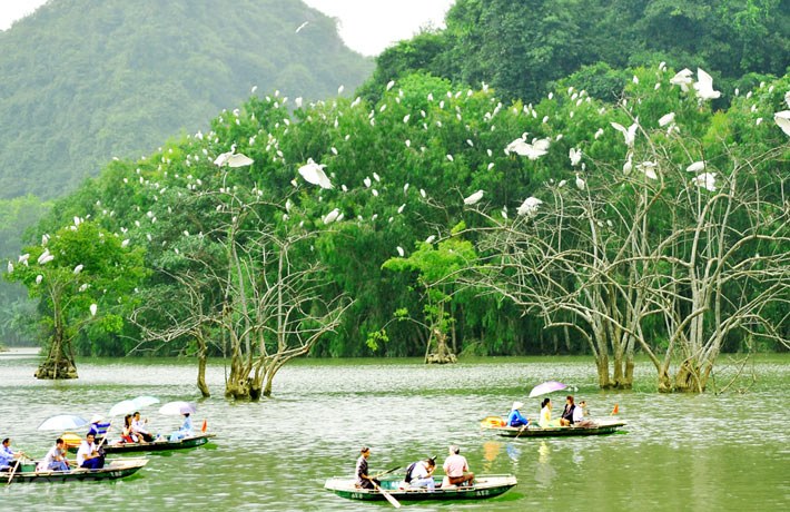 Mô tả ảnh.