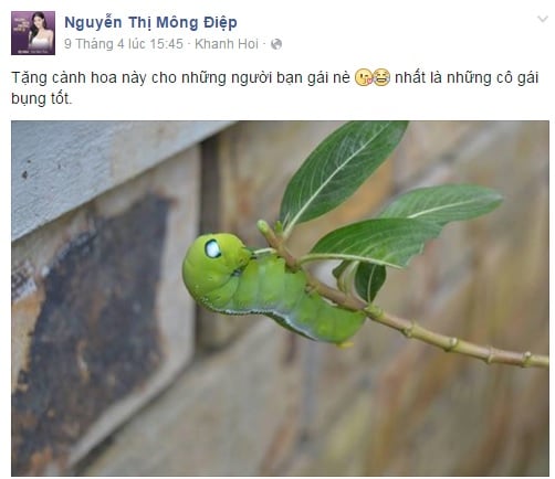 Kỳ Hân nói gì sau khi