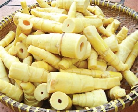 Mô tả ảnh.