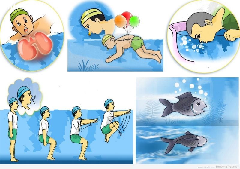 Nếu không biết bơi cũng có thể thoát chết nếu biết kỹ năng này!