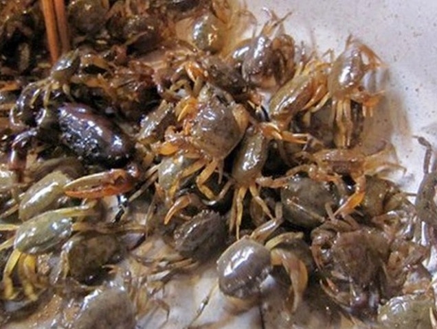 chọn và nấu canh cua