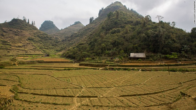 Mô tả ảnh.