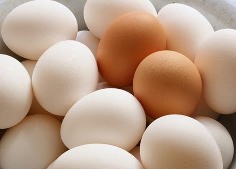 quan niệm sai lầm khi ăn trứng gà