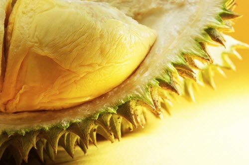 Mô tả ảnh.