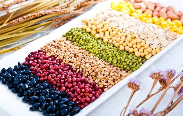 Cách trồng rau mầm bằng giấy ăn
