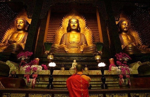 Miệng nói nghiệt ngã bao nhiêu thì vận mệnh nghiệt ngã bấy nhiêu!