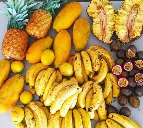 thanh lọc Sh88bet đăng ký miễn phí 