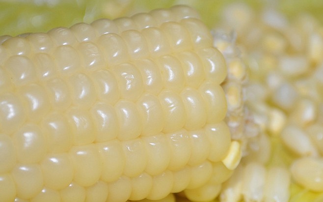 lợi ích từ ăn ngô