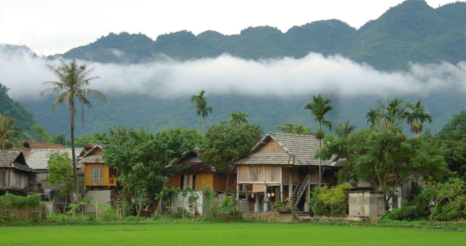 Mô tả ảnh.