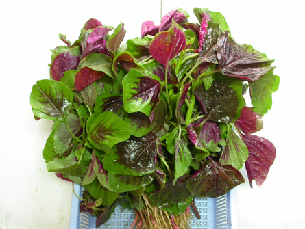 khử độc trong rau