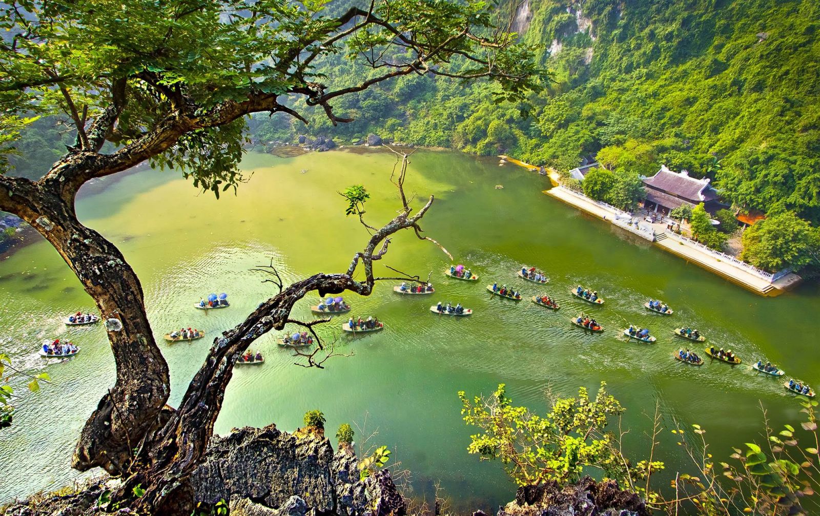 Mô tả ảnh.