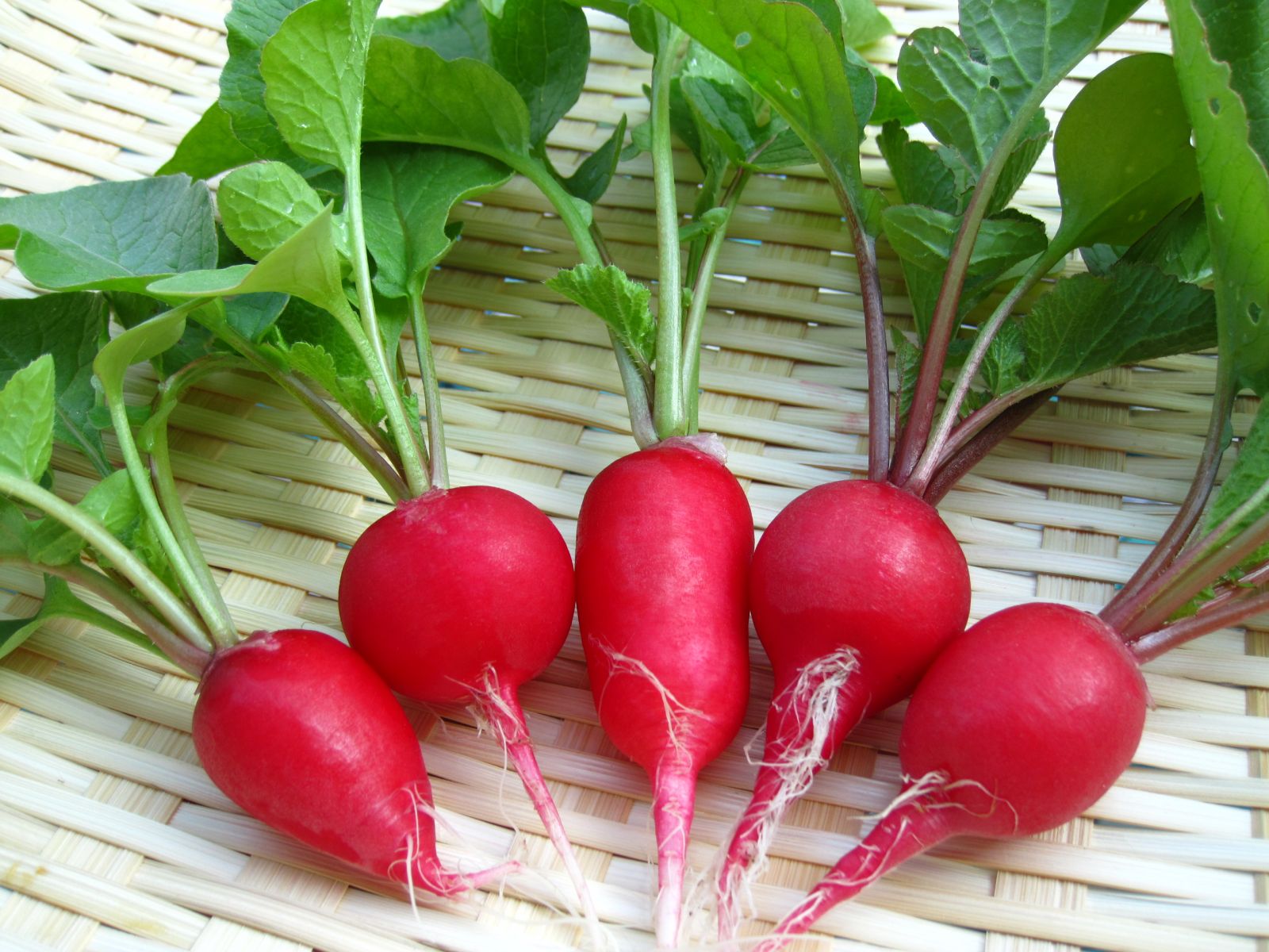 Mô tả ảnh.