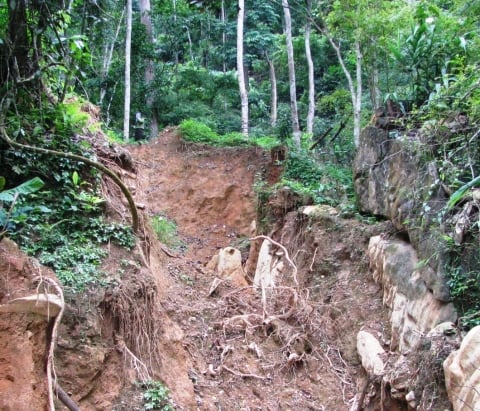 Mô tả ảnh.