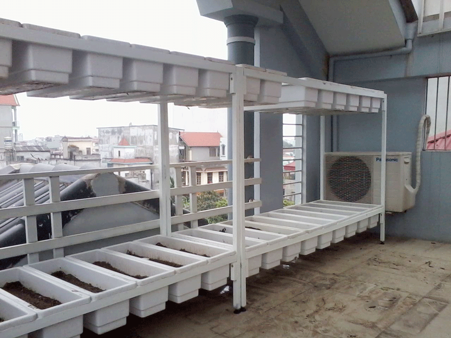 Mô tả ảnh.