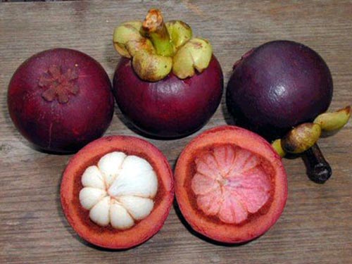 trị nám