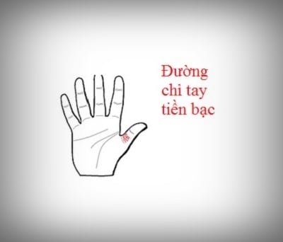 5 đường chỉ tay hiếm có khó tìm, chỉ những người “đặc biệt” mới có được