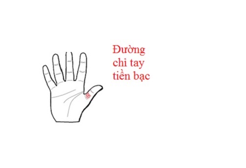 Mô tả ảnh.