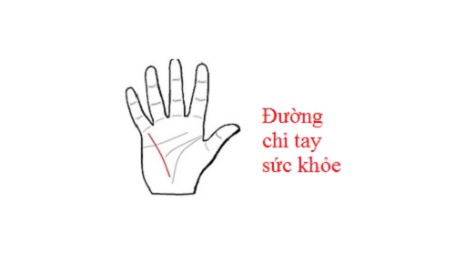 Mô tả ảnh.