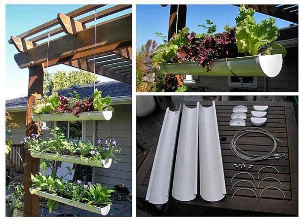 Những vườn rau xanh mơn mởn được trồng trong ống tre và ống nhựa PVC