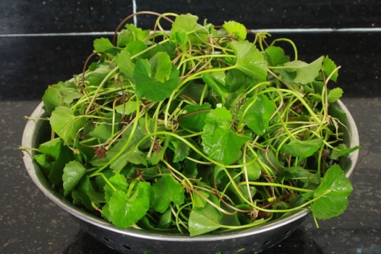 loại rau tốt cho sức khỏe