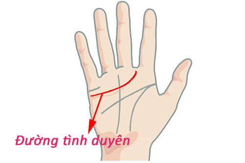 2 chỉ tay này hiếm khi liền nhau, nó ẩn chứa điều gì?