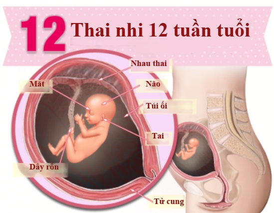 Mô tả ảnh.