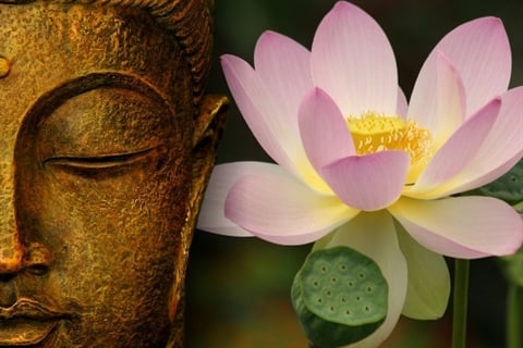 Mô tả ảnh.