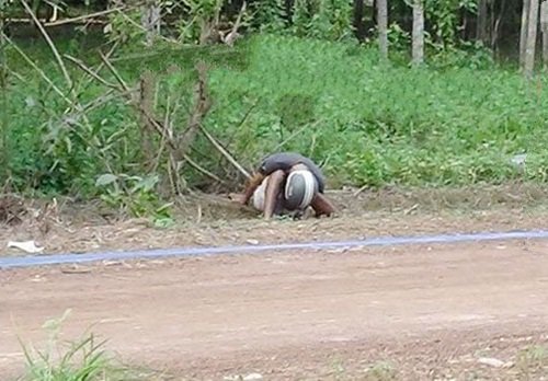 Mô tả ảnh.