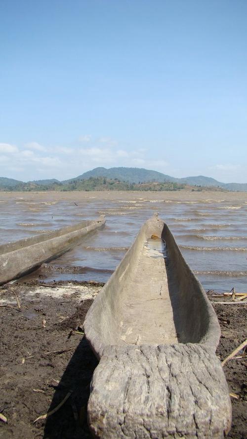 ngựa