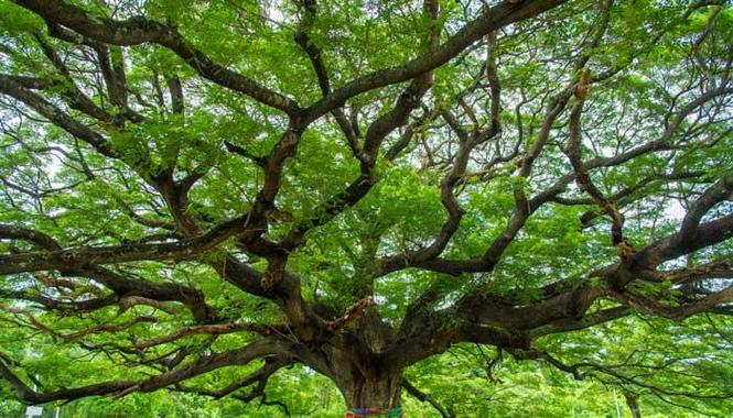 ăn vặt nổi tiếng ở Hà Nội