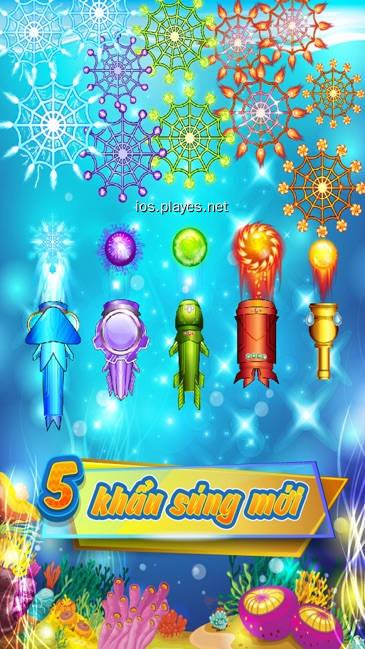 cài tiền