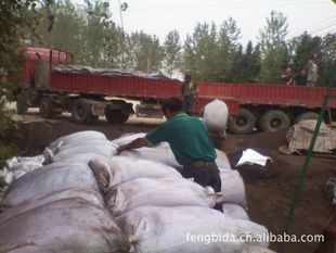 sinh con rơi trong quần