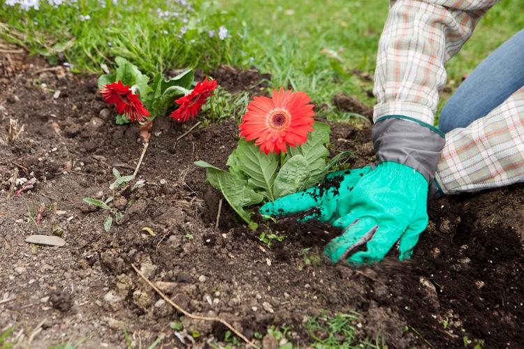Con trai chia sẻ bạn tình với cha. Ảnh minh họa