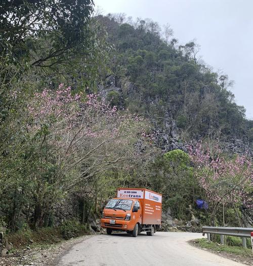 váy bầu, thời trang bà bầu