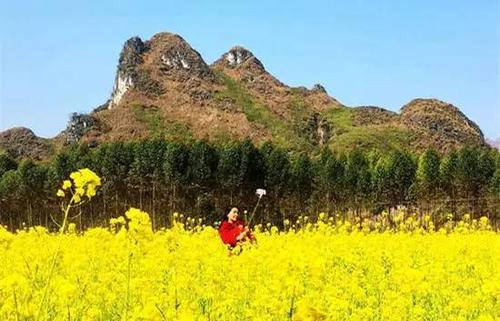 dưỡng da, lô hội, nha đam, trị mụn