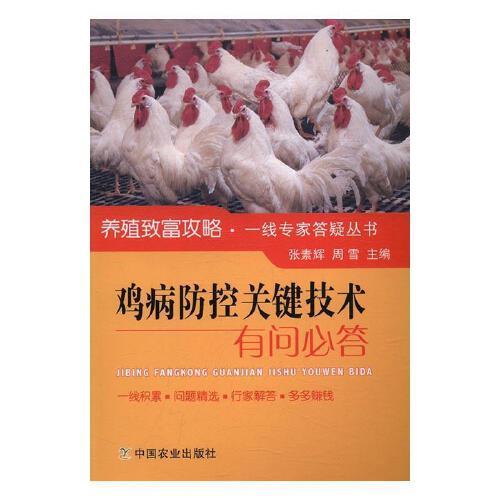 Top 7 gam màu làm sáng da cho nàng công sở