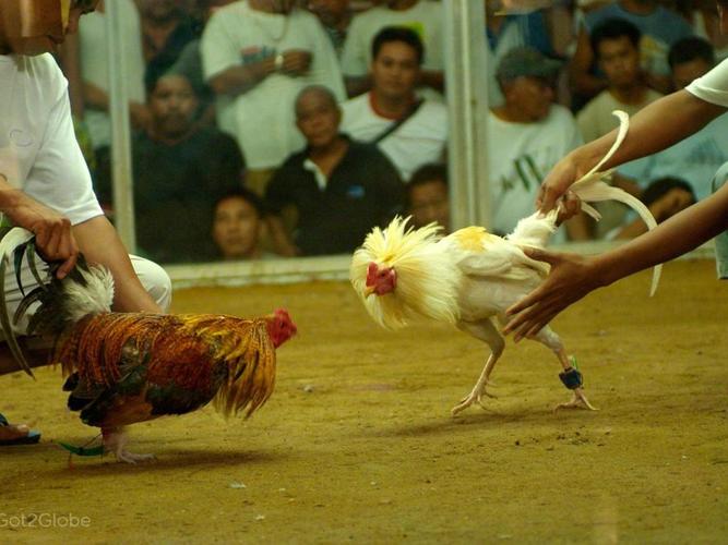 Mô tả ảnh.