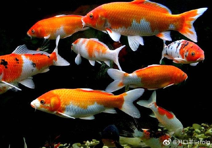 Nhà ngoại cảm 