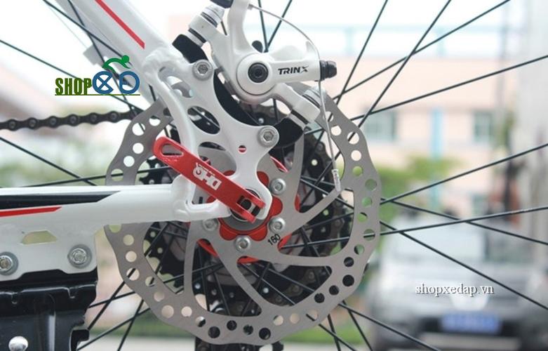 Quần cà rốt, quần cam đỏ, thời trang